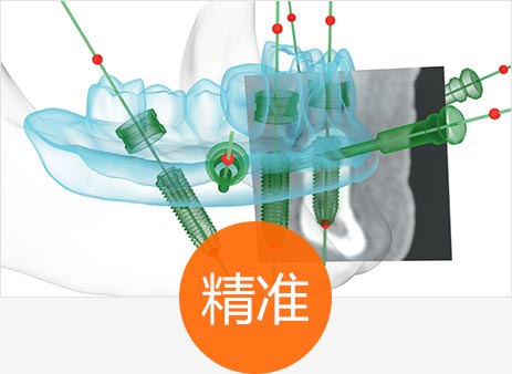 香港精准资料100