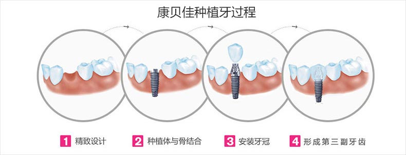 香港精准资料100