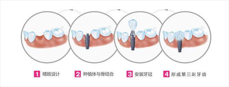 香港精准资料100