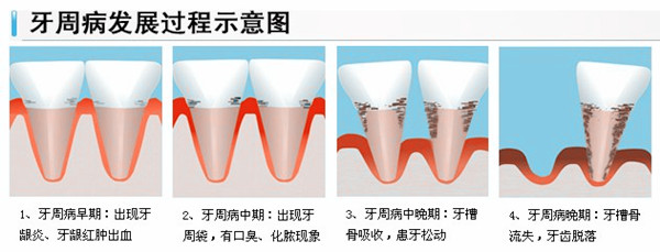 香港精准资料100