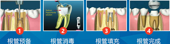 香港精准资料100