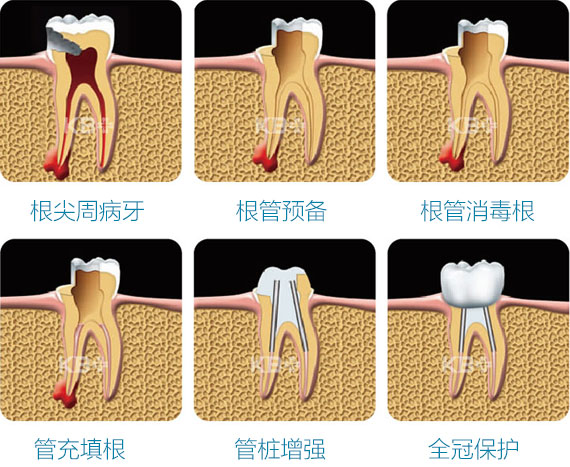 香港精准资料100