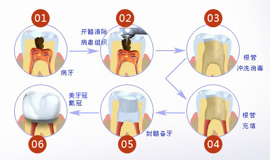 香港精准资料100