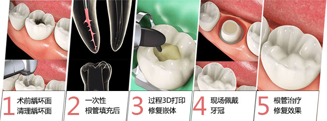 香港精准资料100