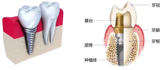 香港精准资料100