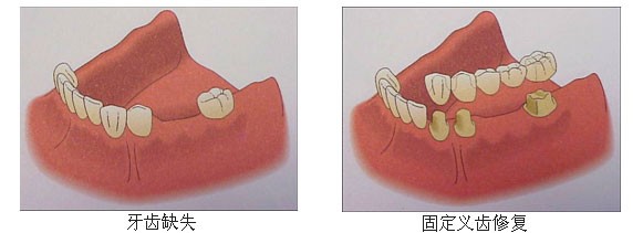 香港精准资料100