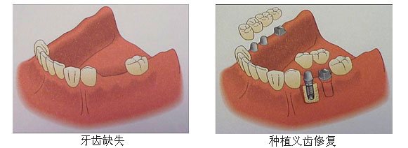 香港精准资料100