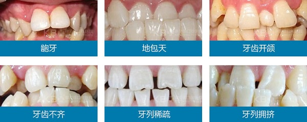 香港精准资料100