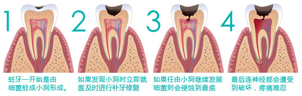 香港精准资料100