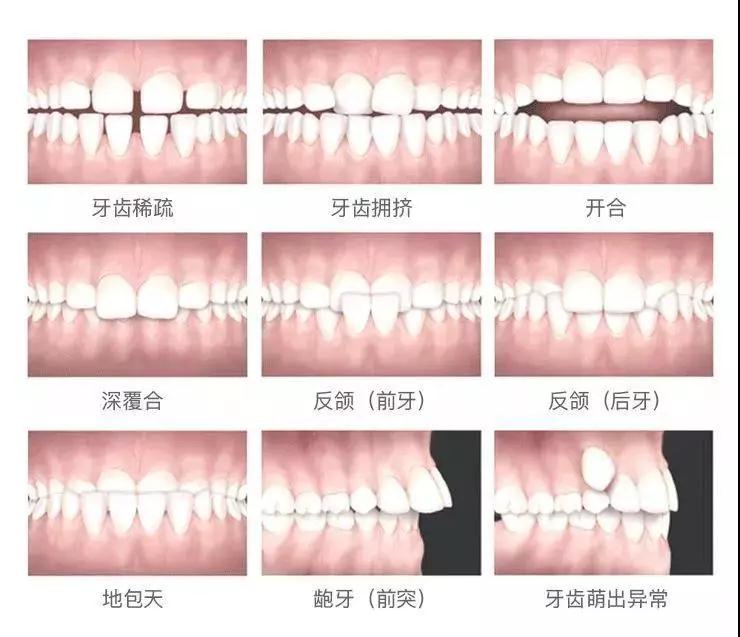 香港精准资料100